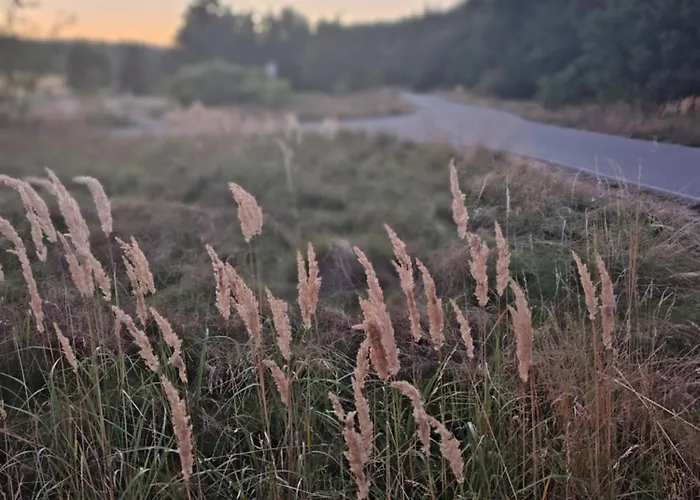 Haus Der Wonne Naehe Berzdorfersee -goerlitz * Гёрлиц